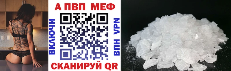 KRAKEN   Беслан  Alfa_PVP СК 
