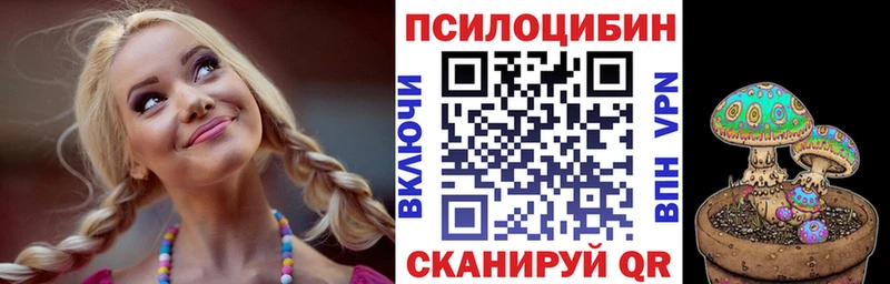 kraken ONION  Беслан  Галлюциногенные грибы Cubensis 